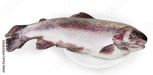 Fresh uncooked cooled rainbow trout on a big white dish