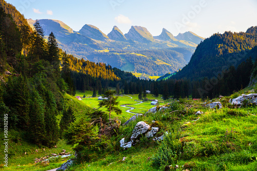 Kühboden_7927 photo
