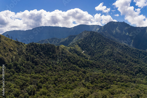 Forest area of mount Rinjani Lombok island