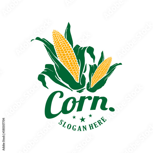 vintage logo corn vector illustration