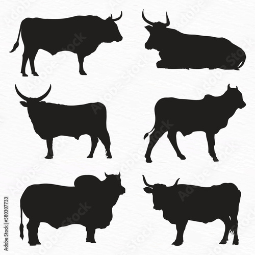 Vector cow silhouette black and white cows icons set