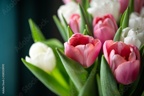 Pink and white color bouquet of tulips