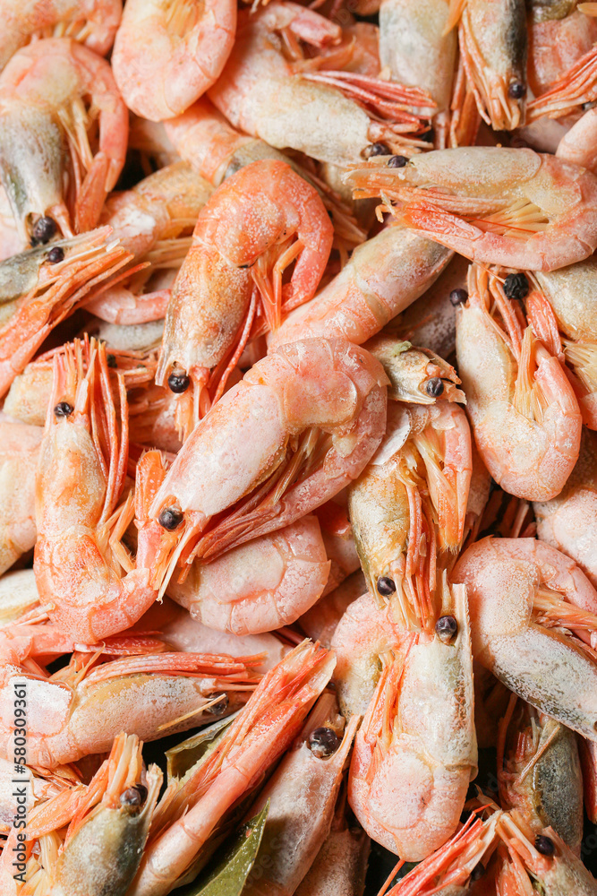 fresh shrimps 