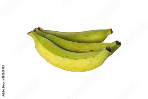 3 bananes plantains photo