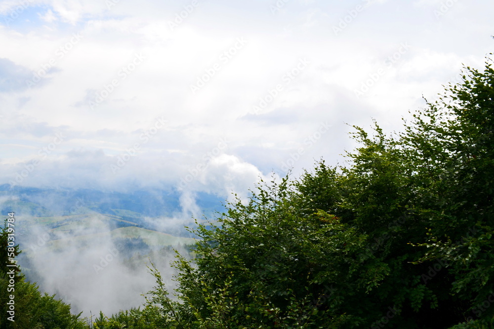 clouds below you. Carpathian mountain. Ukraine. beautiful summer landscape. horizon in clouds. over
clouds