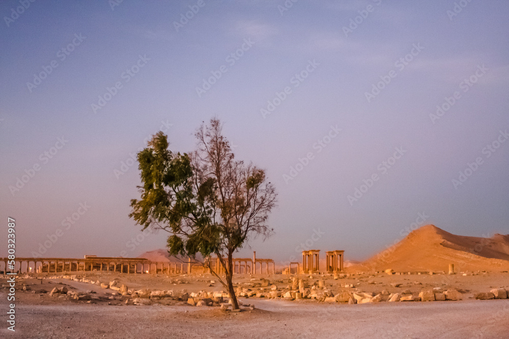 Syria before the war. Palmyra, Syria, the Middle East. December 02, 2010. Landscape of the desert of Syria, Palmyra