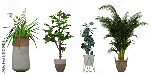 Set of beautiful plants in decorative pots isolated on transparent background 3D render png tree