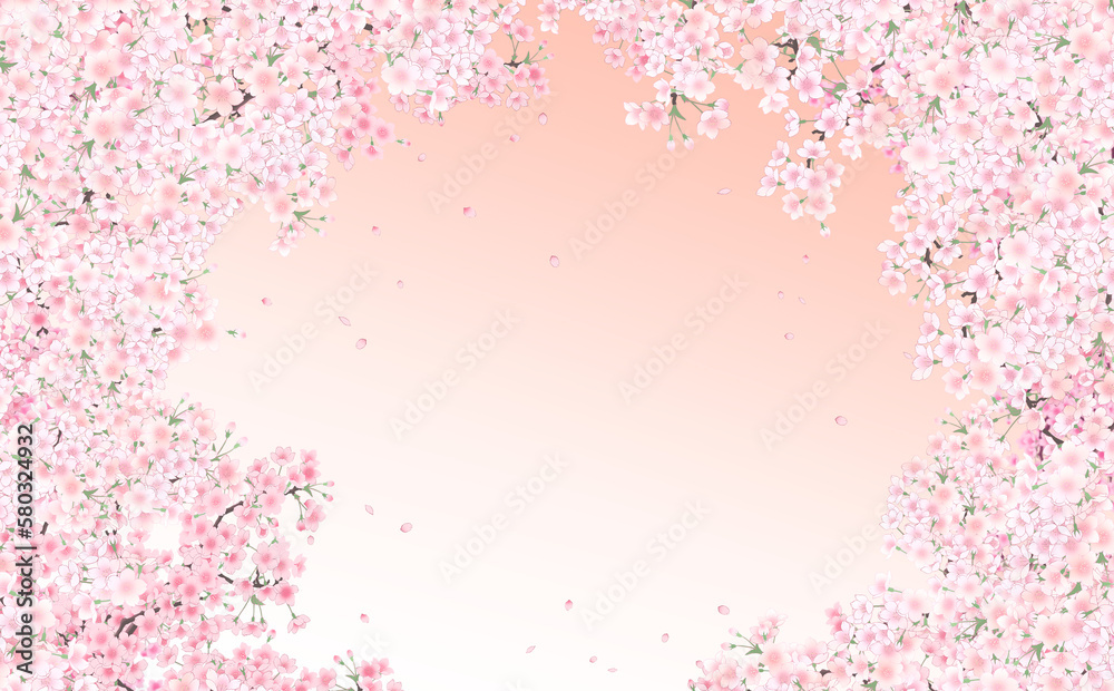 イラスト素材 満開の桜と花びら・小 -うすべにグラデーション背景- 色違い・差分あり