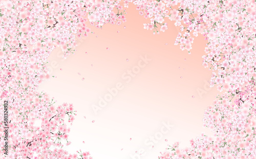 イラスト素材 満開の桜と花びら・小 -うすべにグラデーション背景- 色違い・差分あり