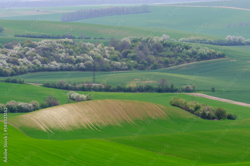 green hills in moravia