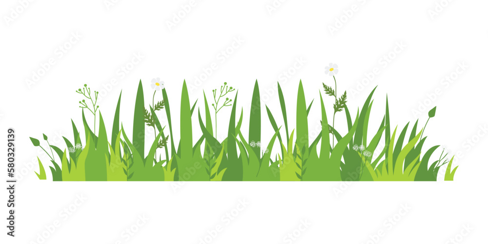 Green grass Illustration. Green lawn, flower, natural borders, herbs. Flat vector illustrations for spring, summer, nature, ground, plants concept.