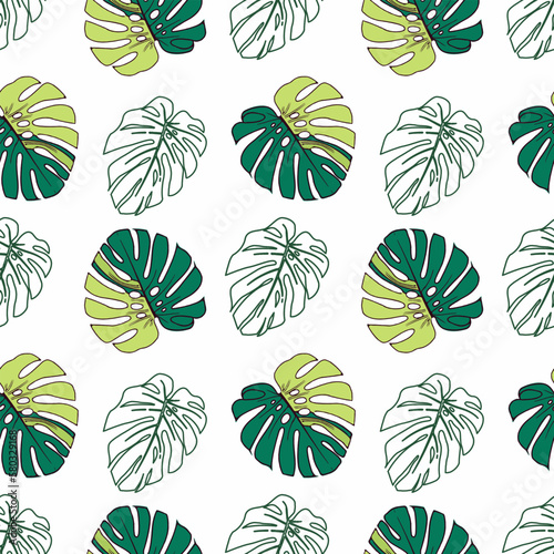 Green monstera leafs seamless pattern on white background.