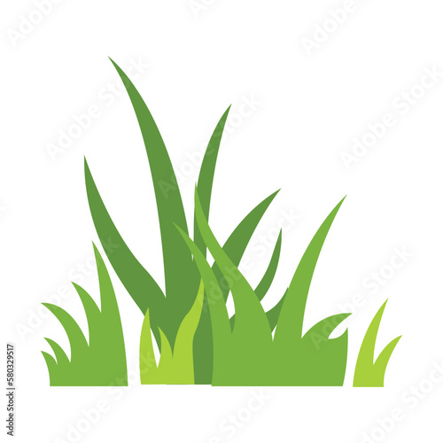 Green grass Illustration. Green lawn  flower  natural borders  herbs. Flat vector illustrations for spring  summer  nature  ground  plants concept.