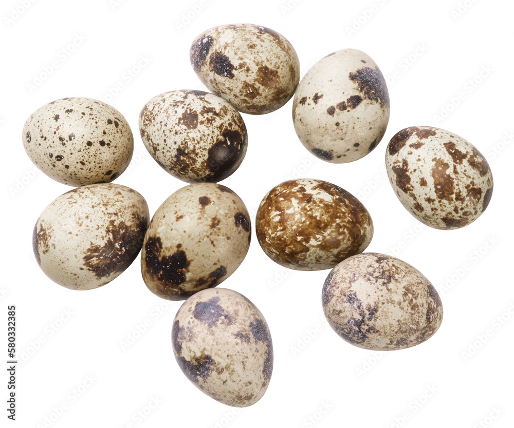 Obraz premium Quail eggs isolated on white background. View from above.
