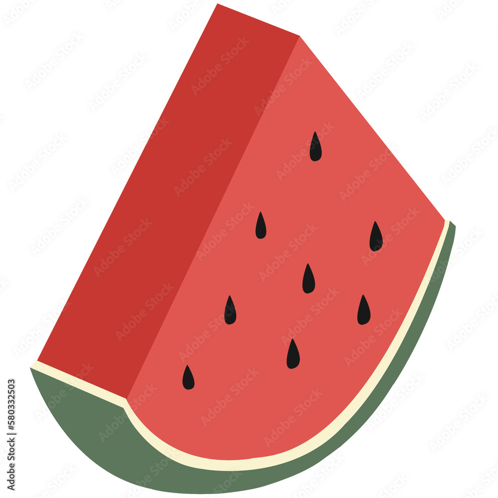 watermelon illustration watermelon illustration