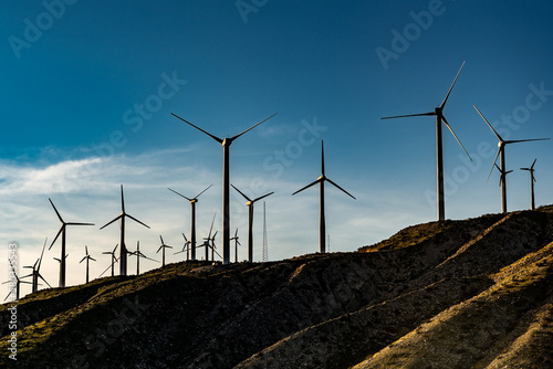 Wind farm in the desert.