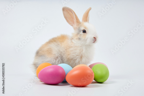 young baby rabbit with easter eggs on white background © offsuperphoto