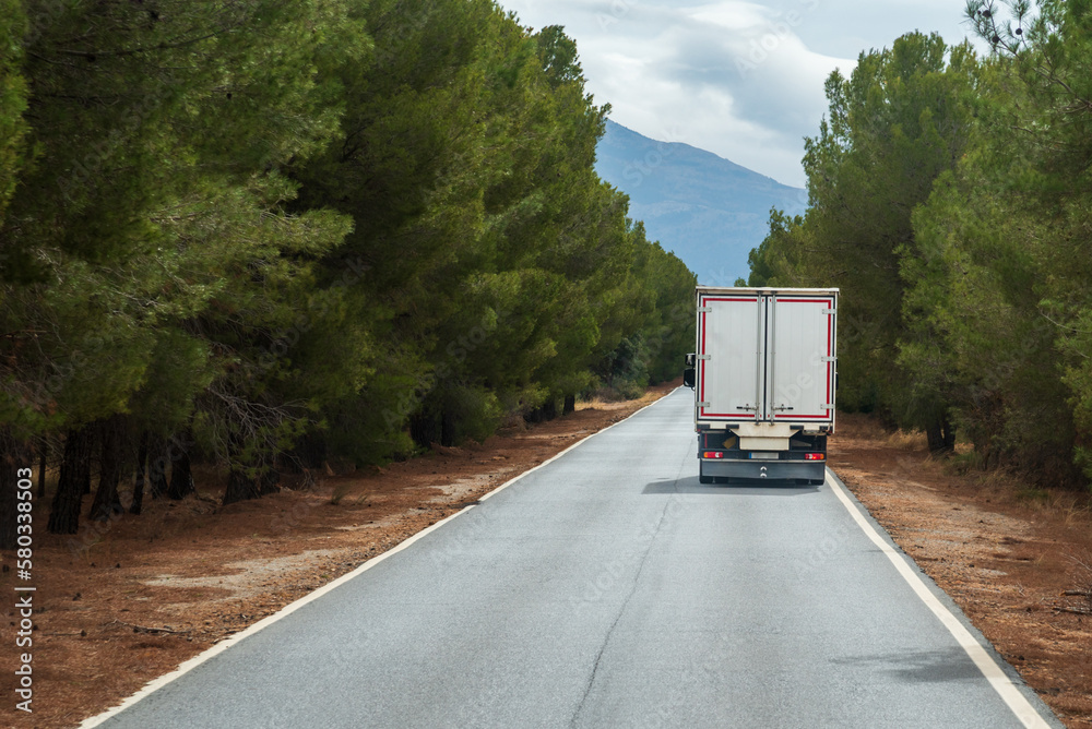 Small truck with closed box driving on a narrow road through a pine forest.