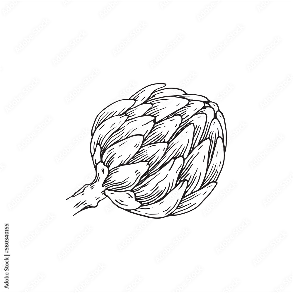 Artichoke vector drawing. Hand drawn berry on white background. Summer fruits engraved style illustration. Great for labels, posters, prints. Artichoke vector drawing. Hand drawn berry on white background. Summer fruits engraved style illustration. Great for labels, posters, prints.