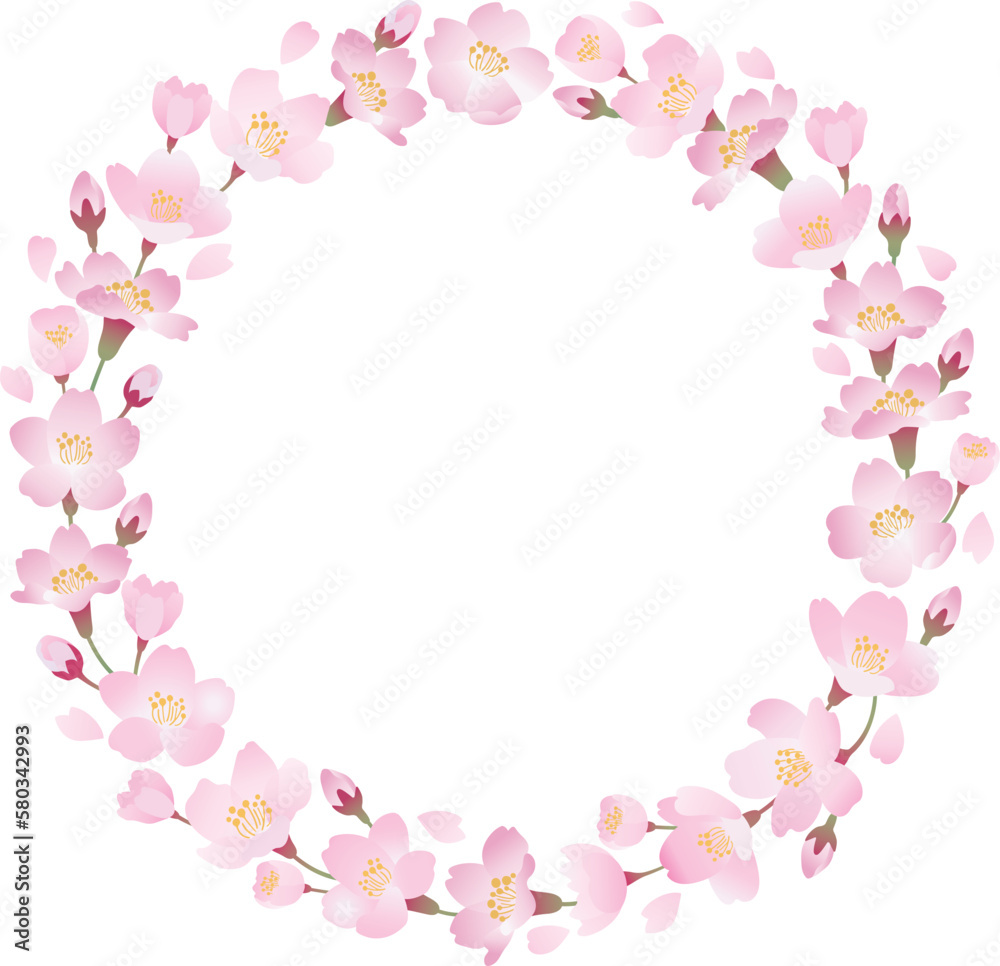 桜の花のフレームイラスト
