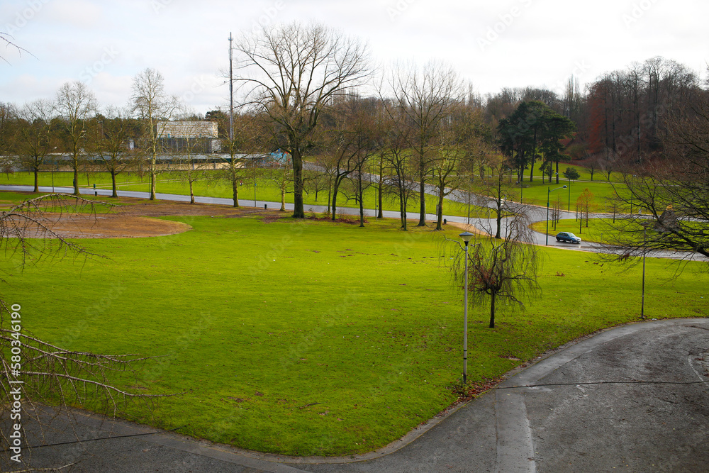 Obraz premium Park in autumns with trees with no leafs but very green lawn