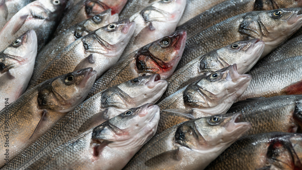Fish on ice at fish market. Group of raw fresh fish on market stall. Seafood concept. High angle view. Selective focus. Fish on ice at fish market. Group of raw fresh fish on market stall. Seafood concept. High angle view. Selective focus.