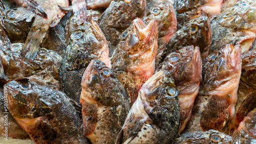 Fish on ice at fish market. Group of raw fresh fish on market stall. Seafood concept. High angle view. Selective focus.