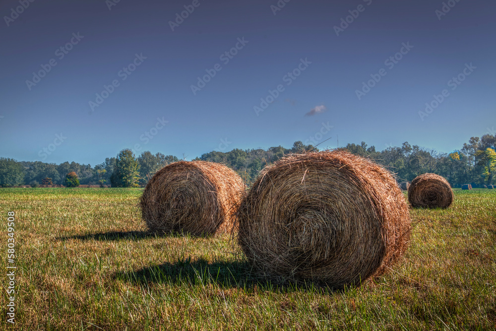 Three Hay Bales in a field.  Small shadows stretch out on the field beside the hay bales.  a perfect blue sky above.  
