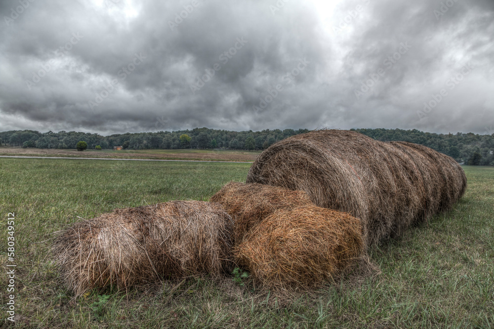Hay Bale with Split Ends. A row of hay bales is split on the end in two