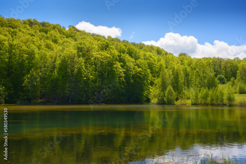 landscape with countryside pond. forest reflecting in the water surface. sunny weather in spring