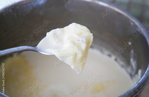 cooked cow's milk and the milk cream formed on it, milk fat,