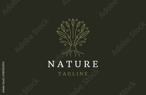 Line art tree logo design. tree and root vector template