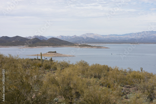 Lake Pleasant in Peoria, Arizona on a beautiful winter day with wildflowers in bloom.