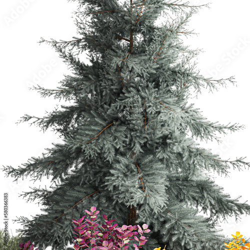 3D illustration Garden of spruce thuja juniper and barberry