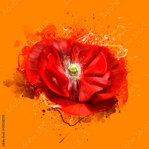 Poppy on an orange background with elements of paint splashes