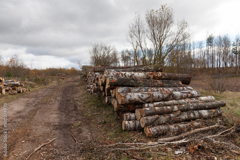 tree felling and wood harvesting in Europe tree felling and wood harvesting in Europe