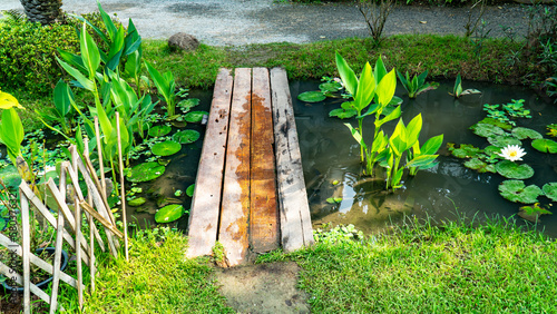 Wooden planks bridge cross the river with water and tree beside the road. Wood board bridge cross the canal with tree and water beside the street.