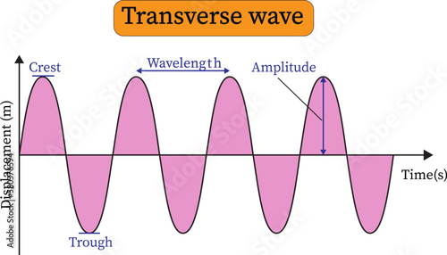  transverse wave presentation . Crest, trough, wavelength and amplitude ,vector illustration 