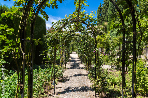Gardens in Alhambra palace in Granada
