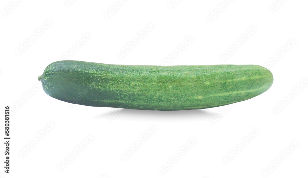 Single green fresh cucumber vegetable isolated on white background with clipping path and shadow in png file format Single green fresh cucumber vegetable isolated on white background with clipping path and shadow in png file format