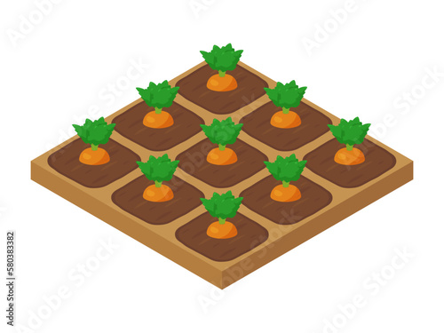 農場ゲームのイラスト_にんじん_アイソメトリック