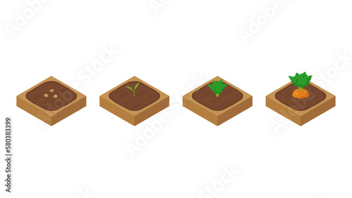 農場ゲームのイラスト_成長するにんじん_アイソメトリック