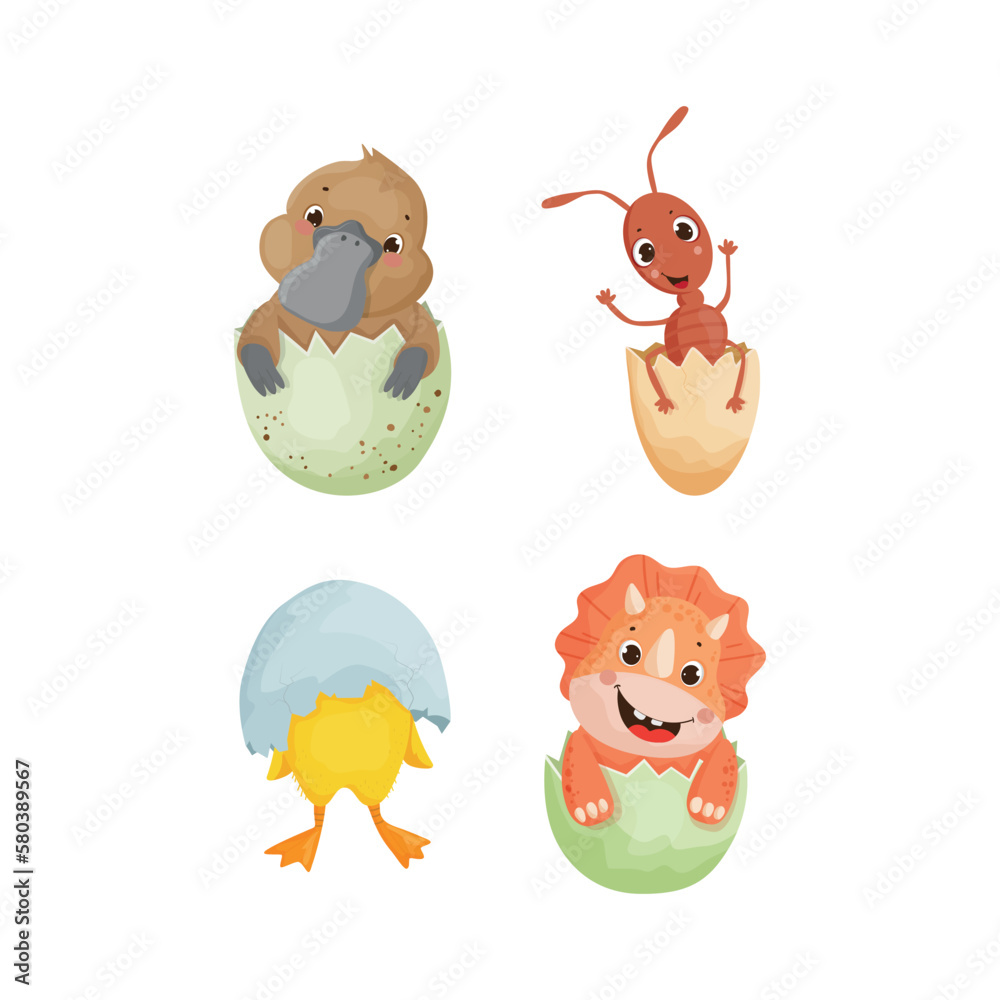 Naklejka premium Vector collection of animals in eggshell. Colorful children's illustrations.