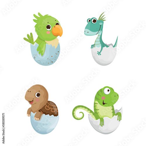 Vector collection of animals in eggshell. Colorful children's illustrations. 