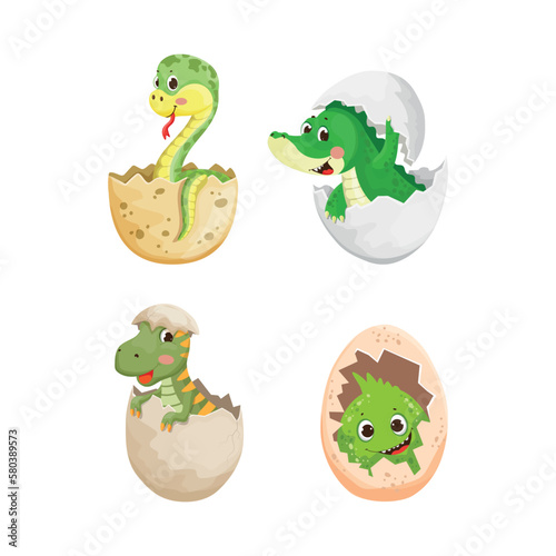 Vector collection of animals in eggshell. Colorful children s illustrations. 