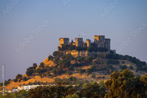 Almodovar del Rio Castle in Andalusia, Spain photo