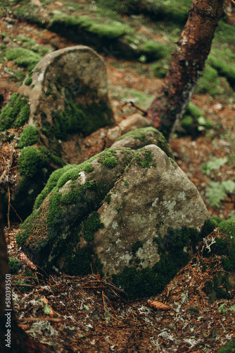 moss covered rocks