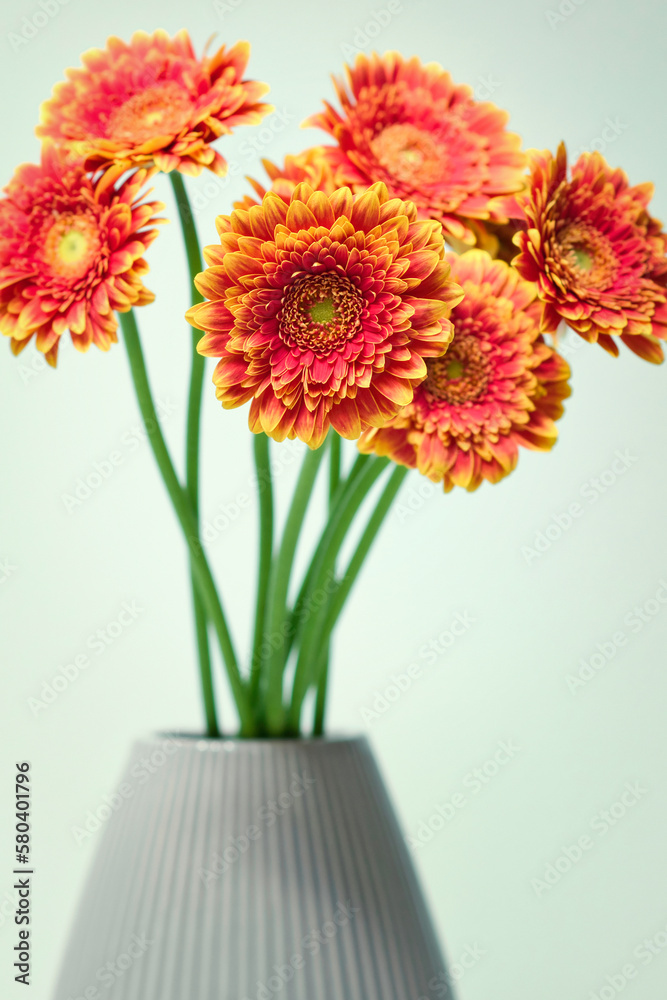 Closeup shot of beautiful red and yellow flowers in the vase 