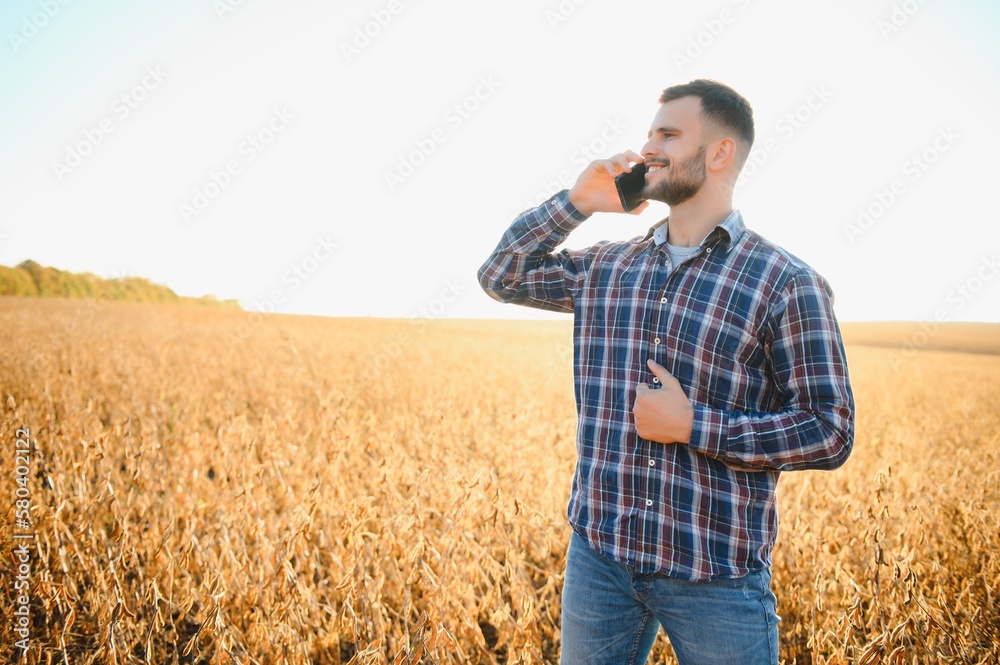 A farmer inspects a soybean field. The concept of the harvest A farmer inspects a soybean field. The concept of the harvest