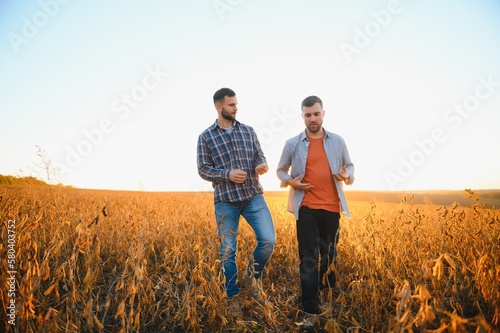 Portrait of two farmers in a field examining soy crop